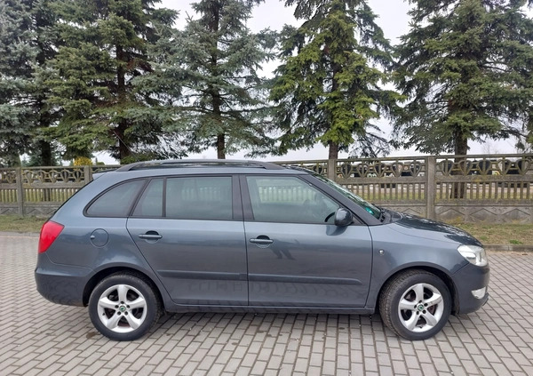 Skoda Fabia cena 14999 przebieg: 164000, rok produkcji 2010 z Płońsk małe 211